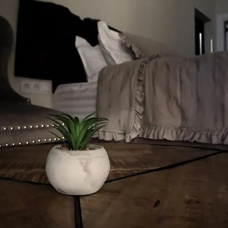 Luxury House Veles *